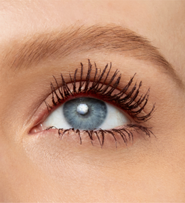 MAYBELLINE SKY HIGH Mascara Volume & Longueur BRUME BOURGOGNE = Tattoo Liner  OFFERT