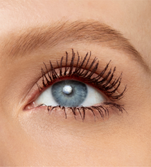 MAYBELLINE SKY HIGH Mascara Volume & Longueur BRUME BOURGOGNE = Tattoo Liner  OFFERT