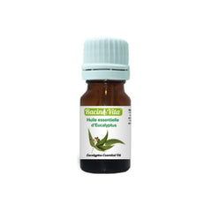 RACINE VITA HUILE ESSENTIELLE D’EUCALYPTUS 10 ML